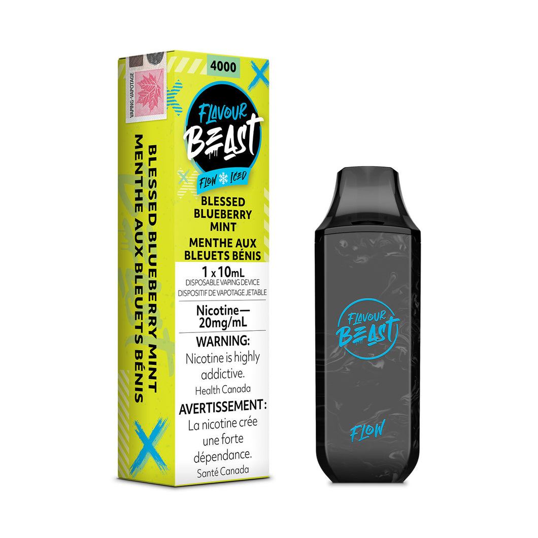 Flavour Beast 4000 Blessed Blueberry Mint 20mg disposable